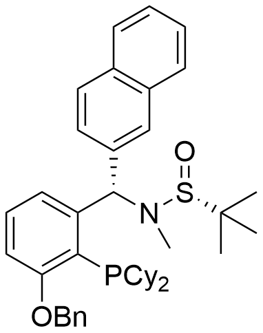 [S(R)]-N-[(S)-[3-苄氧基-2-(二环己基膦)苯基]-(2-萘基)甲基]-N-甲基-2-叔丁基亚磺酰胺
