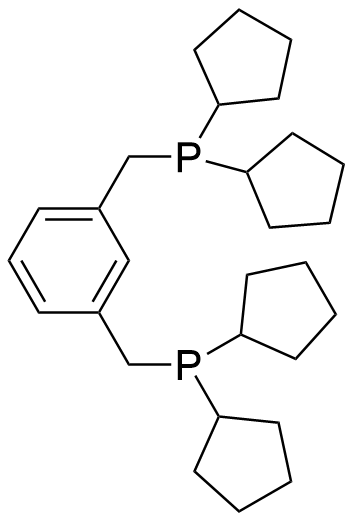 1,3-双(二环戊基膦甲基)苯