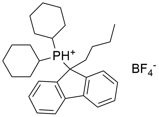 (9-丁基-9-芴基)二环己基磷四氟硼酸酯