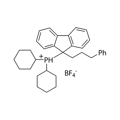 二环己基[9-(3-苯丙基)-9-芴基]鏻鎓四氟硼酸盐