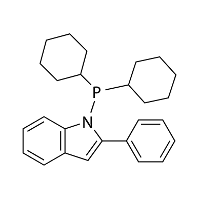 1-(二环己基膦)-2-苯基-1H-吲哚